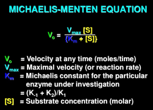 MM equation